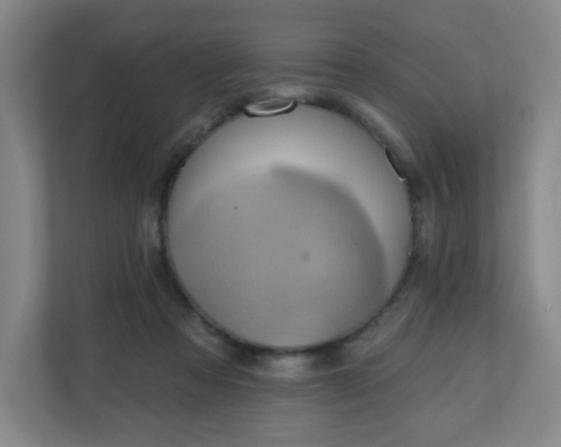 X0000110680313200906191411