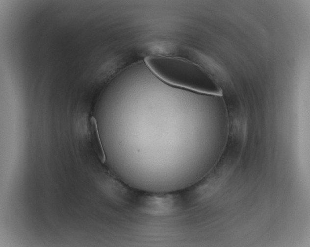 X0000110680317200906191410