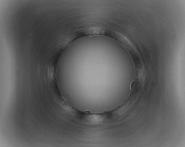 X0000110680326200906191410