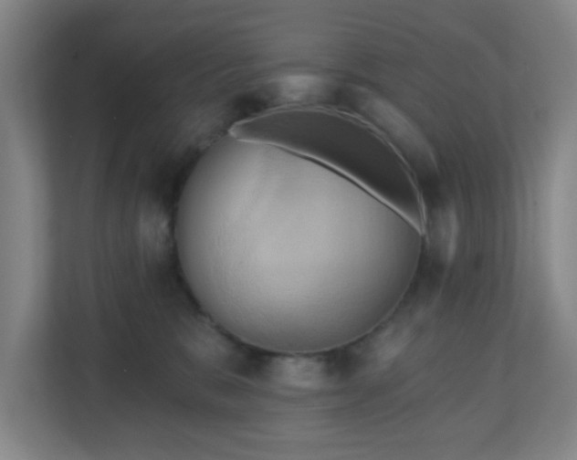 X0000110680327200906191410