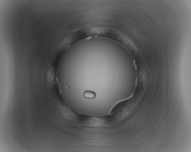 X0000110680328200906191410