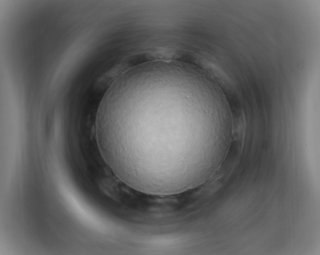 X0000110680334200906191410