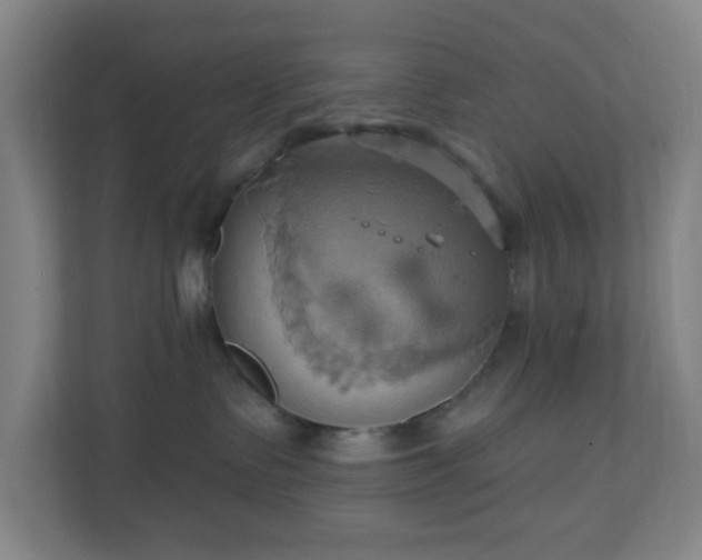 X0000110680335200906191410