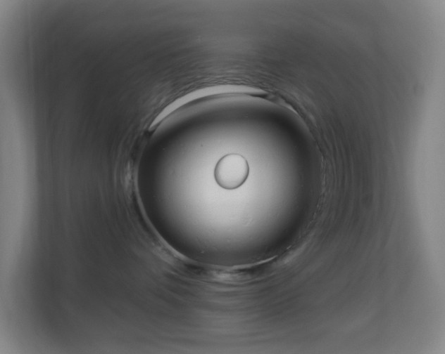 X0000110680336200906191410