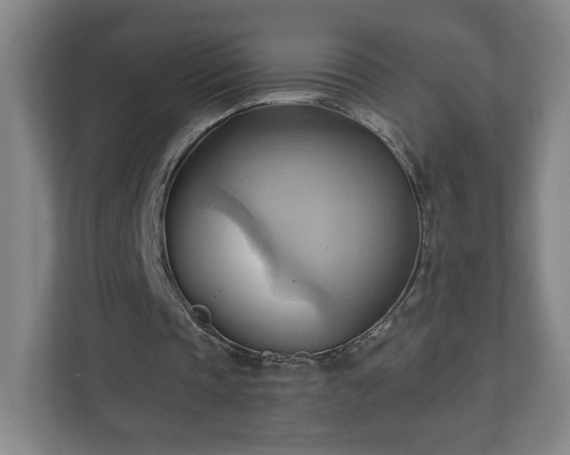 X0000110680337200906191410