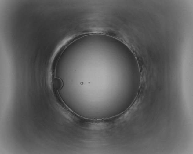 X0000110680342200906191410