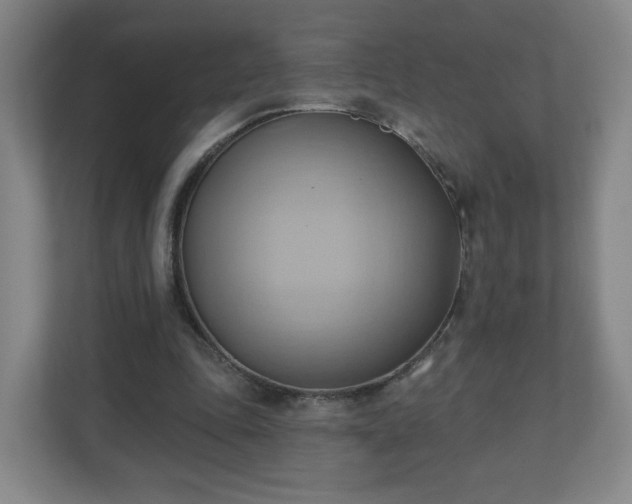X0000110680343200906191410