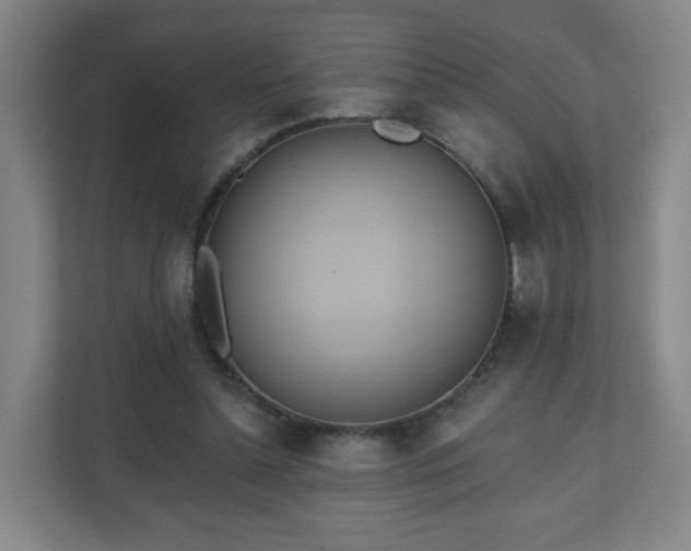 X0000110680348200906191410