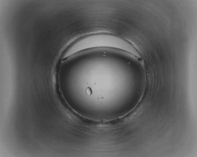 X0000110680350200906191410