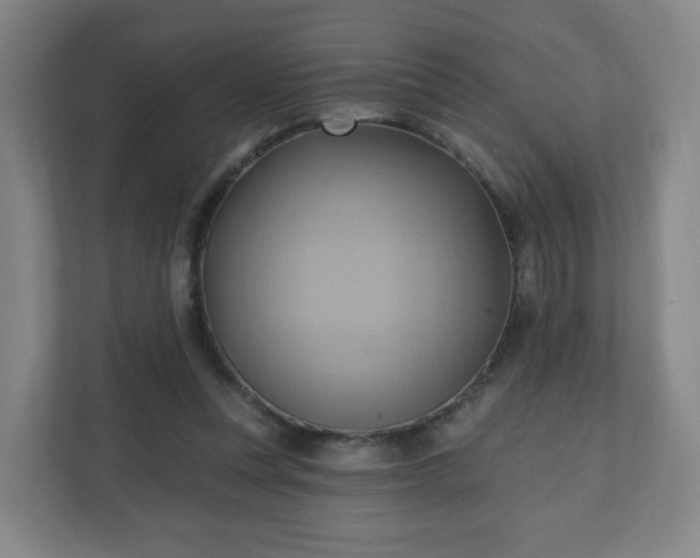 X0000110680351200906191410