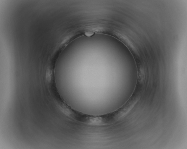 X0000110680355200906191410