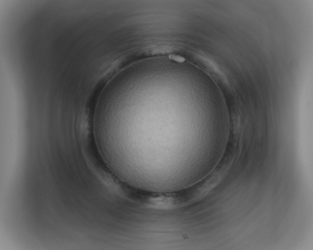 X0000110680362200906191410