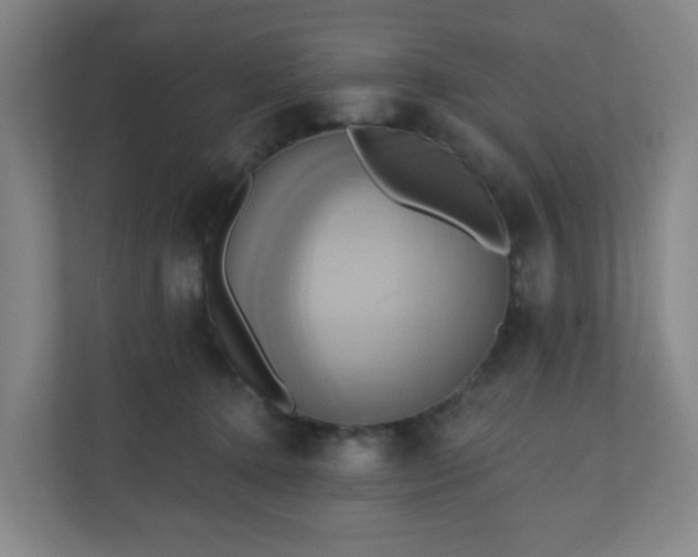 X0000110680368200906191410