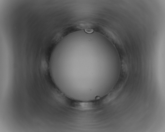 X0000110680371200906191410