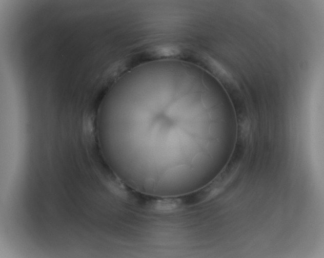 X0000110680373200906191410