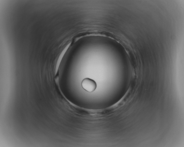 X0000110680376200906191410
