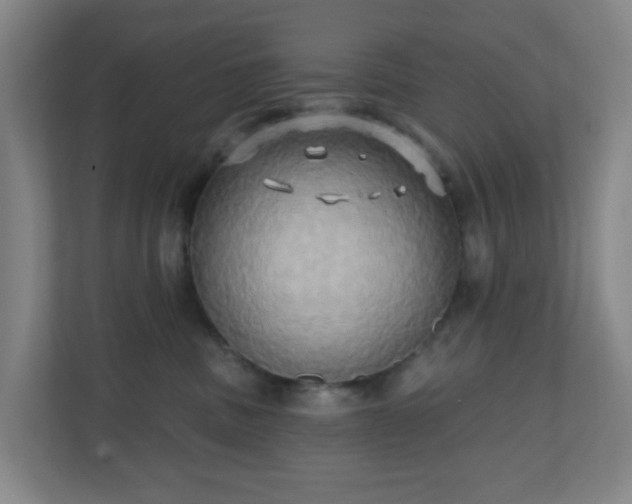 X0000110680379200906191410