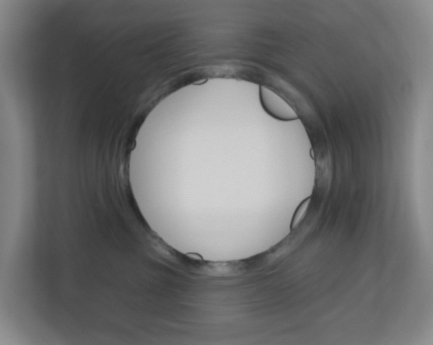 X0000110680381200906191410
