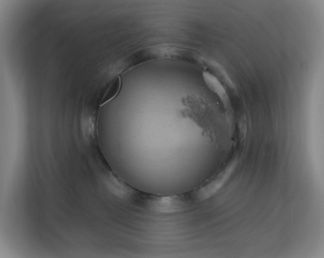X0000110680382200906191410
