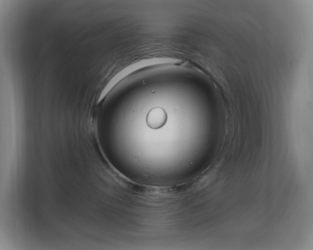 X0000110680384200906191410