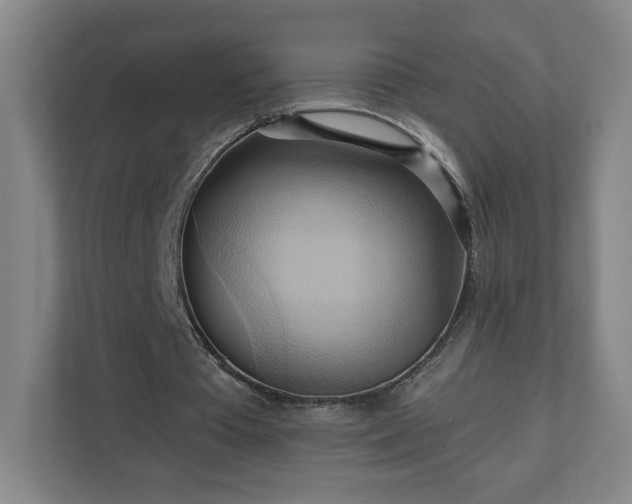 X0000110680385200906191410