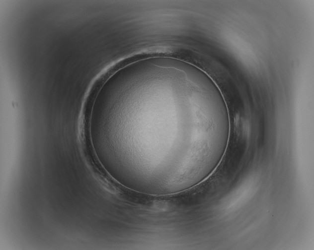 X0000110680388200906191410
