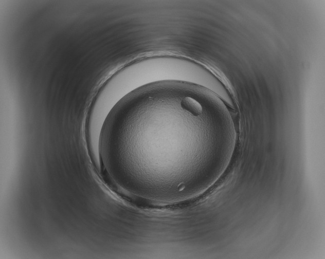 X0000110680389200906191410
