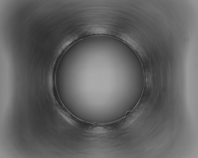 X0000110680390200906191410