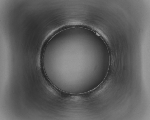 X0000110680391200906191410