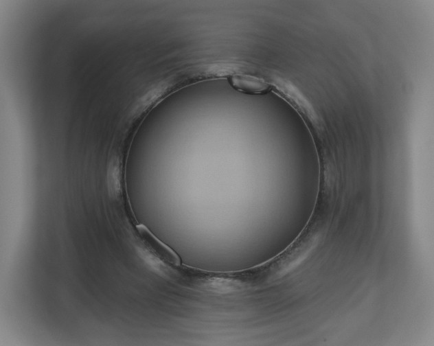 X0000110680393200906191409