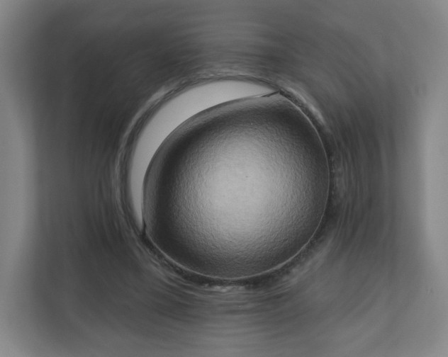 X0000110680395200906191409