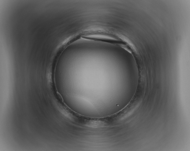 X0000110680399200906191409