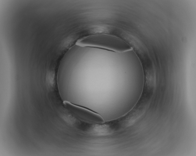 X0000110680403200906191409