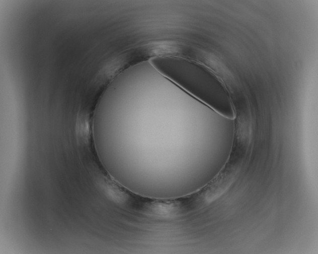 X0000110680405200906191409