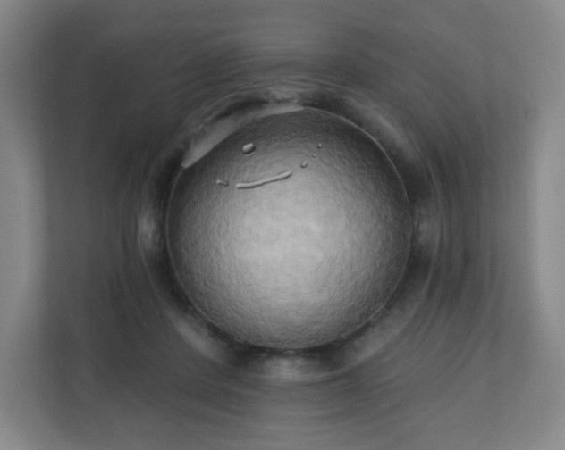 X0000110680408200906191409