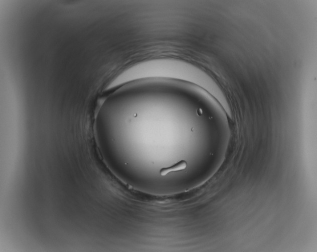 X0000110680411200906191409