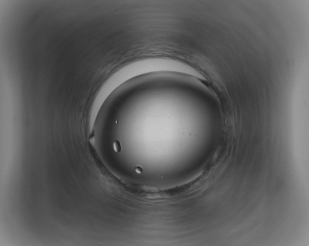 X0000110680415200906191409