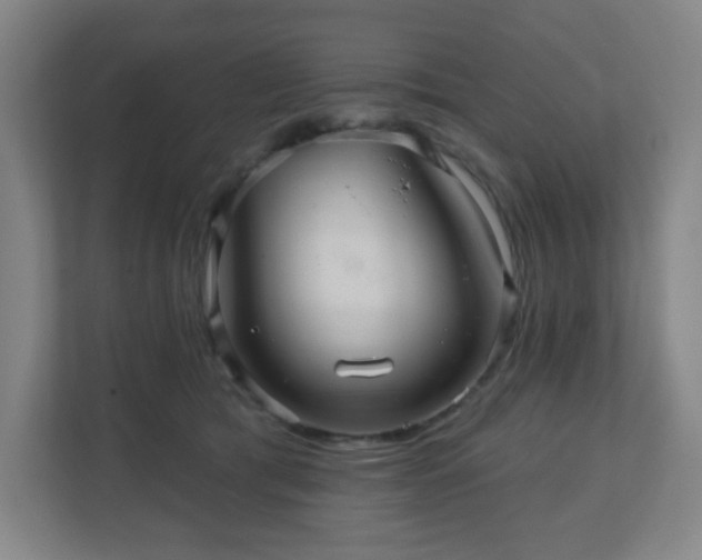 X0000110680417200906191409