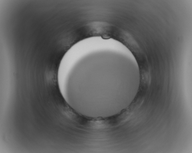 X0000110680419200906191409