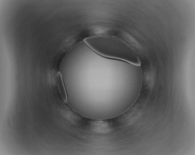 X0000110680421200906191409