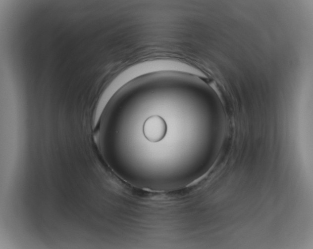X0000110680423200906191409