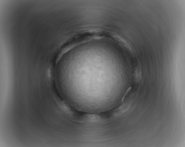 X0000110680424200906191409