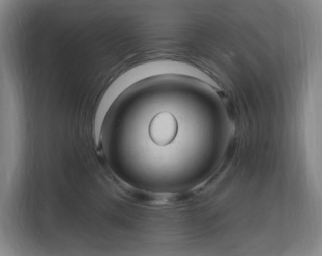 X0000110680425200906191409