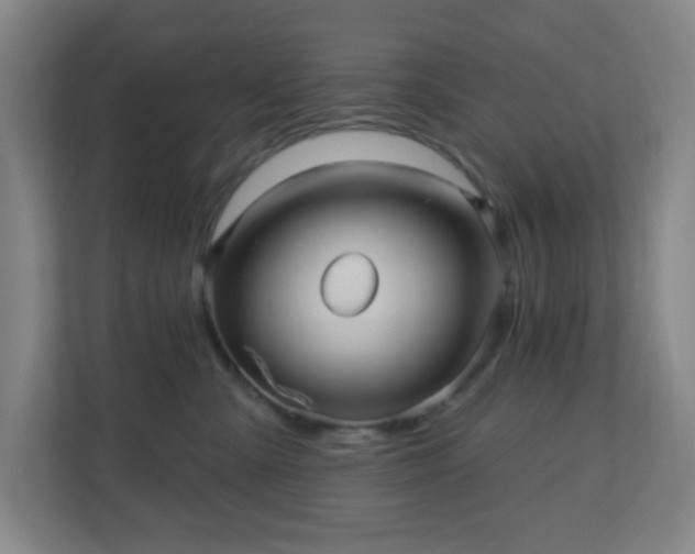 X0000110680427200906191409