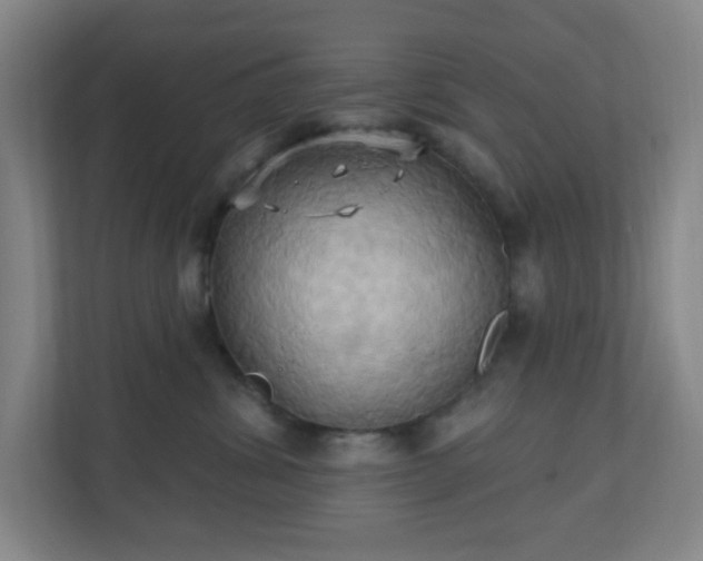 X0000110680428200906191409