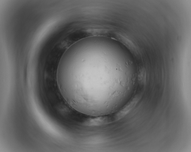 X0000110680430200906191409