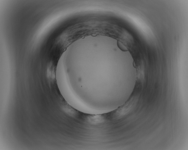 X0000110680431200906191409