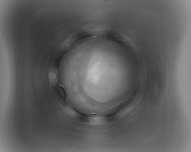 X0000110680432200906191409