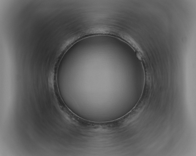X0000110680434200906191408