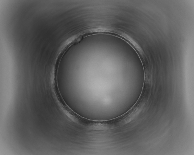 X0000110680437200906191408